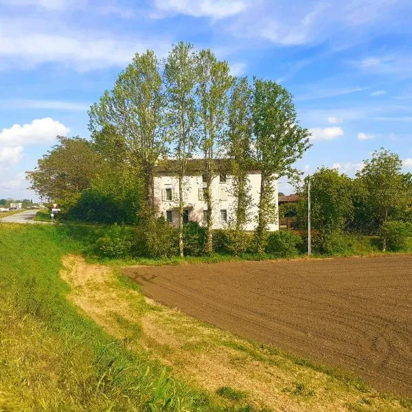 B&B La Sbàgera, Hotel in Polesine Parmense