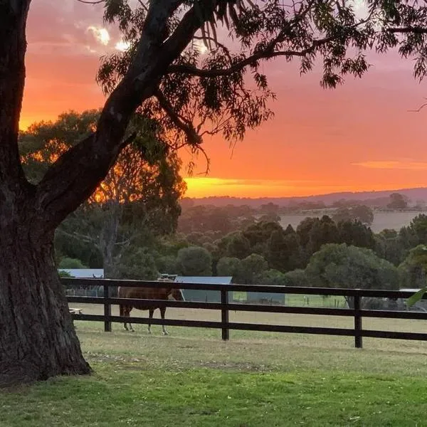 Mount Bold Estate - Luxurious Private Retreat, hotel v destinaci Kangarilla