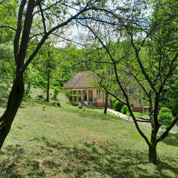 Tilia Ház, hotel en Salgótarján