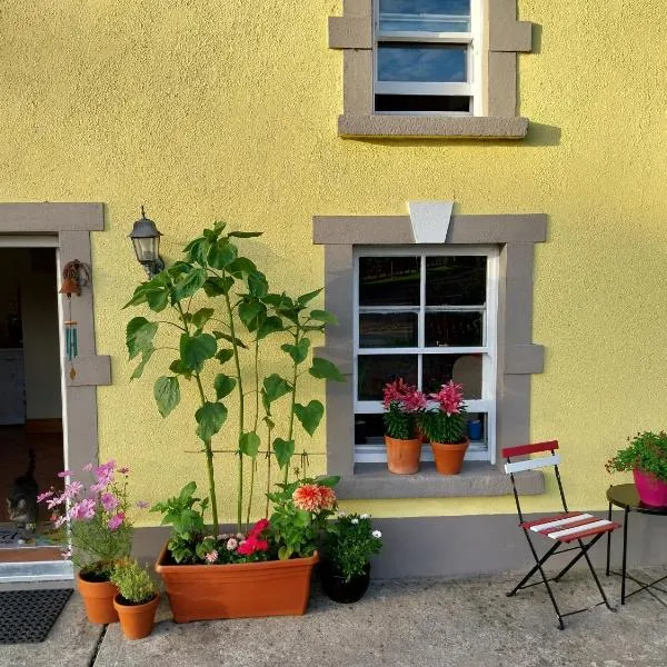 Felicity Cottage, W91 D1W3, hotel v destinaci Kiltegan