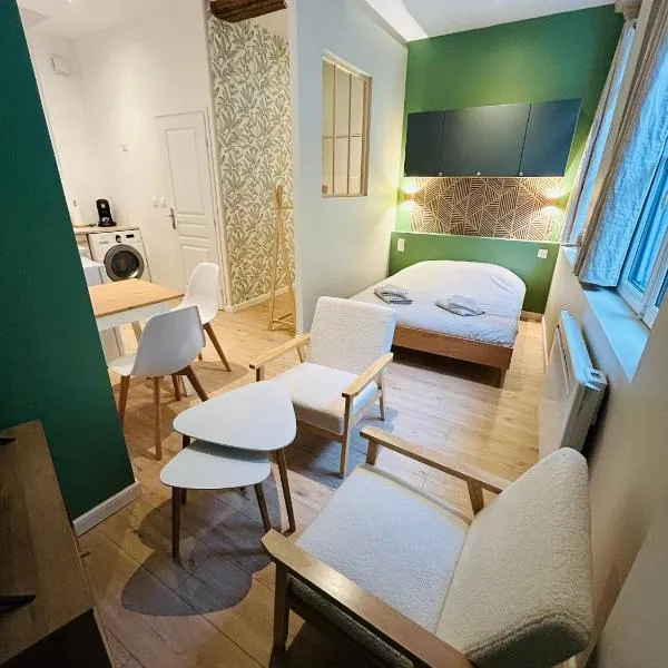 La Petite Rhonelle - Studio en hypercentre, hotel in Valenciennes