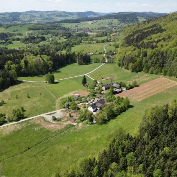 Strefa Przygórze 201 - agroturystyka w sercu Gór Sowich, hotel Przygórze városában