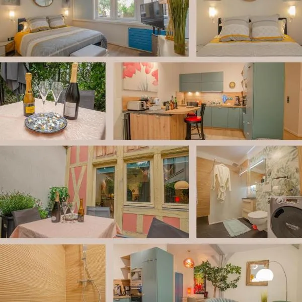 Superbe appartement au coeur de Troyes, hôtel à Troyes