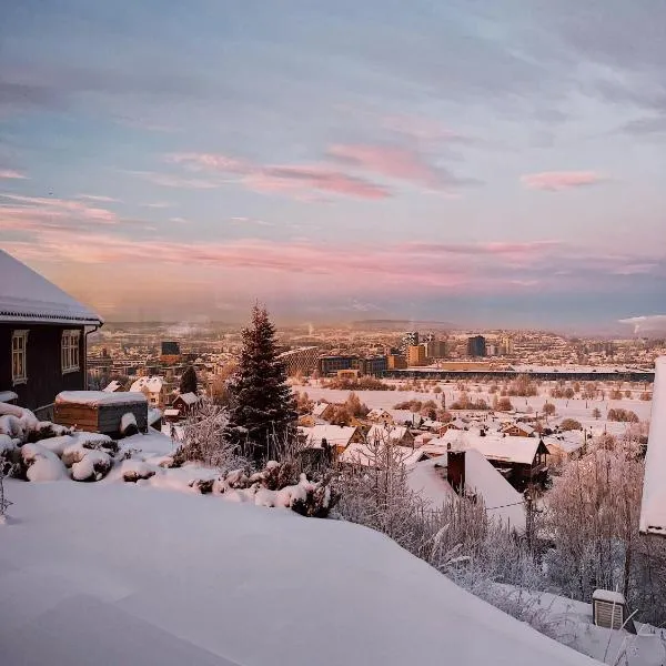 Apartment in Lillestrøm with free parking and great view, sleep 3 people, hotel v destinaci Lillestrøm