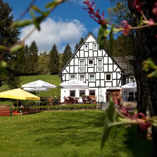 Forellenhof Wald- und Wiesenquartier, hotel a Saalhausen