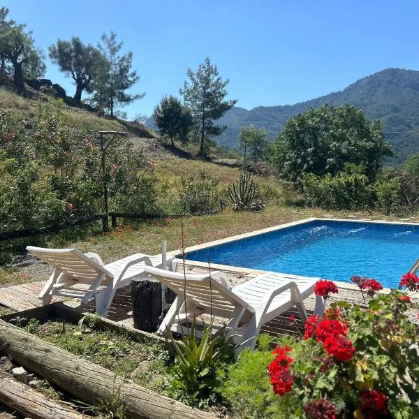 Togo iztuzu Stonehouse-3, hotel Boğazağzı városában