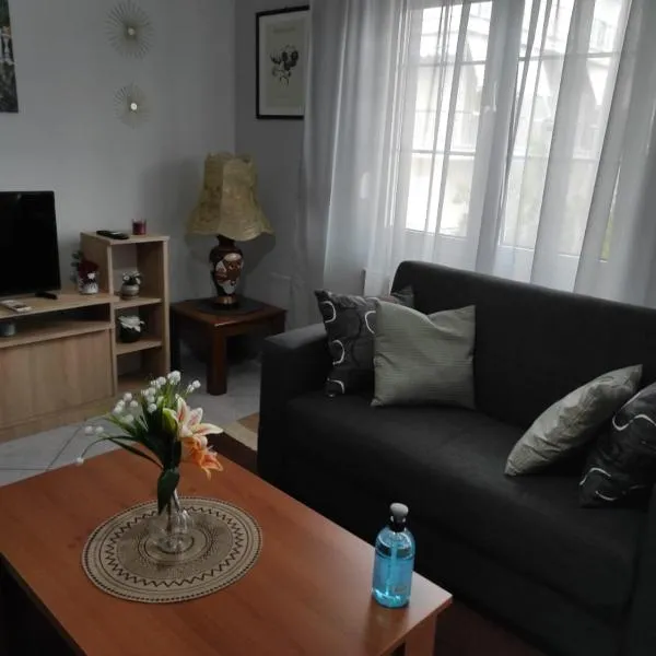 S.T Family Apartement, hotel in Kalabaka