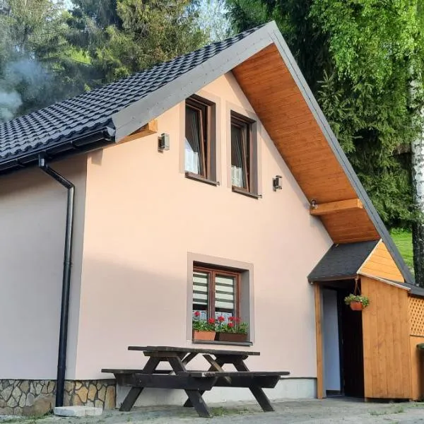 Domek przy Złotym Groniu, hotell sihtkohas Istebna