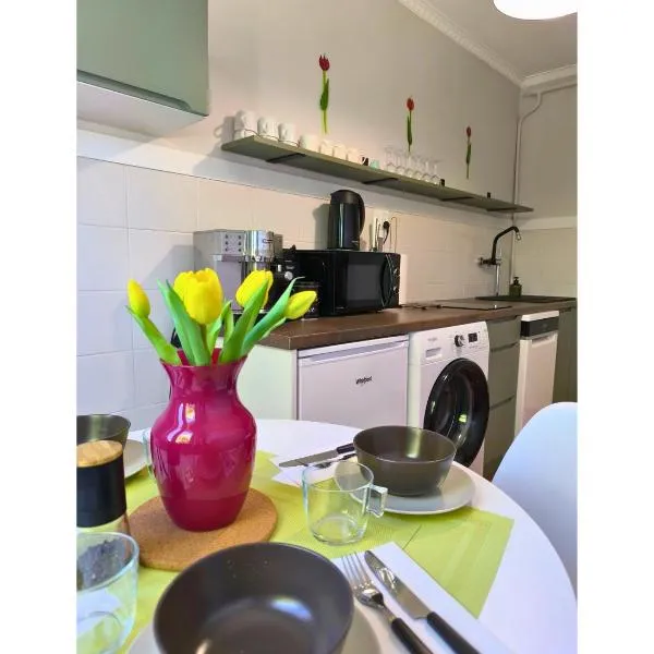 Lokal 40 - apartament w samym centrum, hotel v destinaci Rymanów-Zdrój