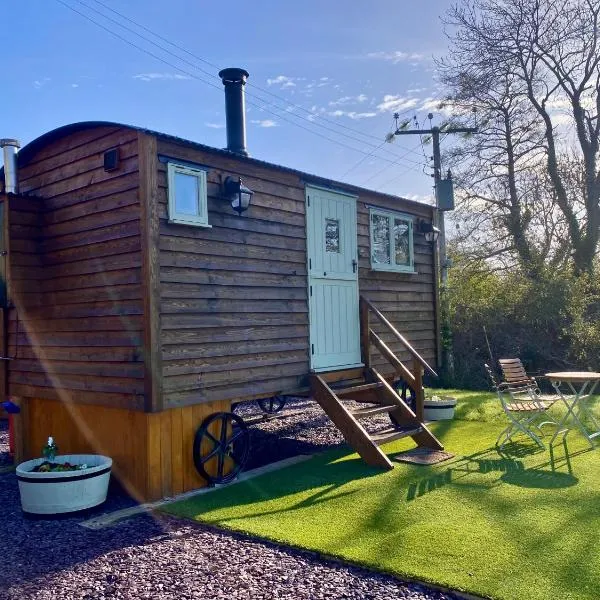 Shepherds Hut, Conwy Valley, hotel v destinaci Conwy