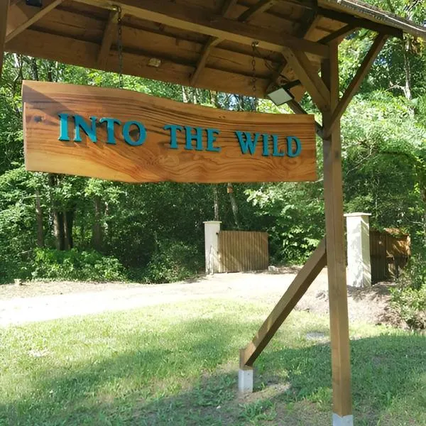 INTO THE WILD - Nos 5 logements "Atypiques" – hotel w mieście Belin-Beliet