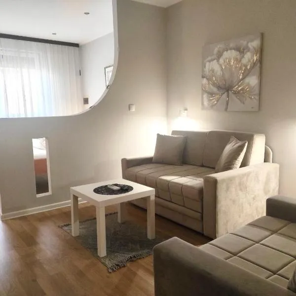 Apartments & Accommodation Stojic, hotel in Novi Sad