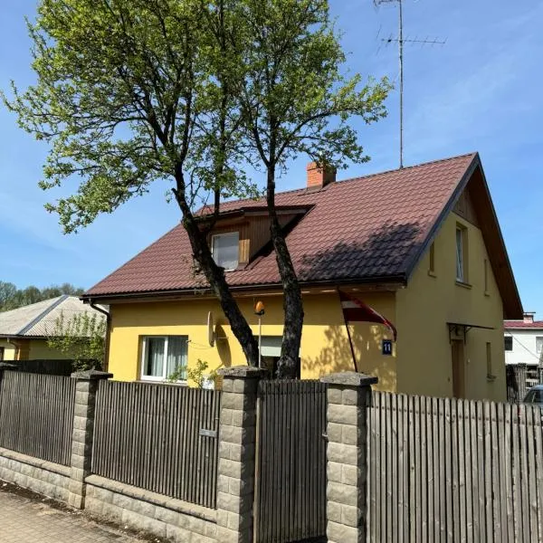 Apartment Festival Street, отель в Цесисе