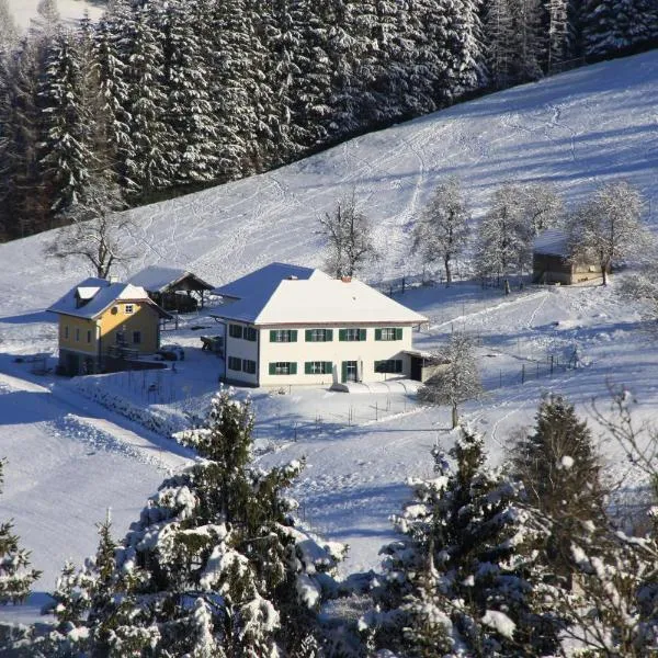 Sommerholz, hotel v destinaci Gmundnerberg