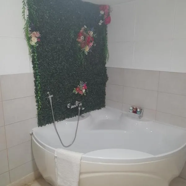 Apartman Tomic, hotel in Brčko