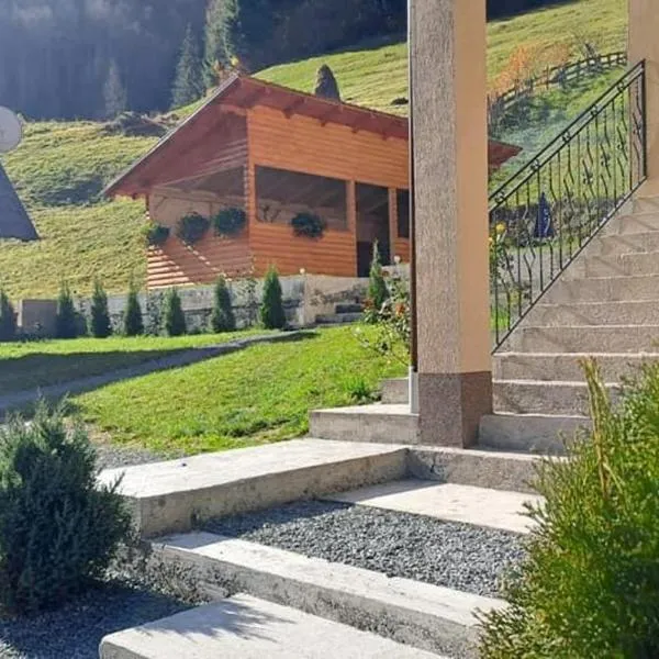 Cabana Lazea, hotel v destinaci Arieşeni