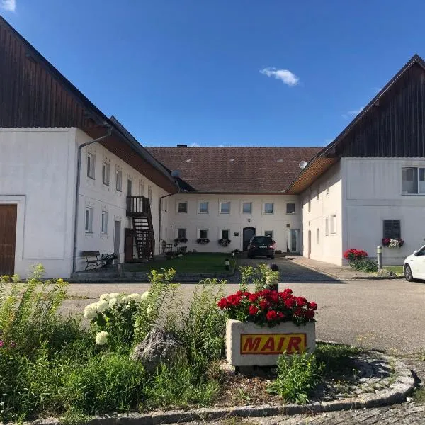 Babsi Appartments - leben am Land, hotel in Stadl-Paura