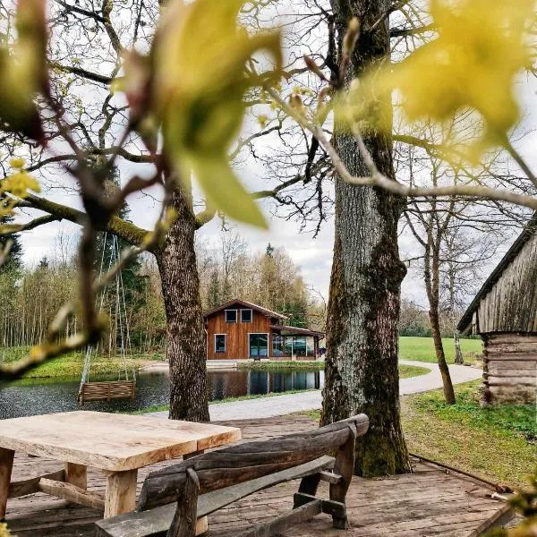 A&G Sodyba camp SVEČIŲ NAMELIS, hotel in Plungė