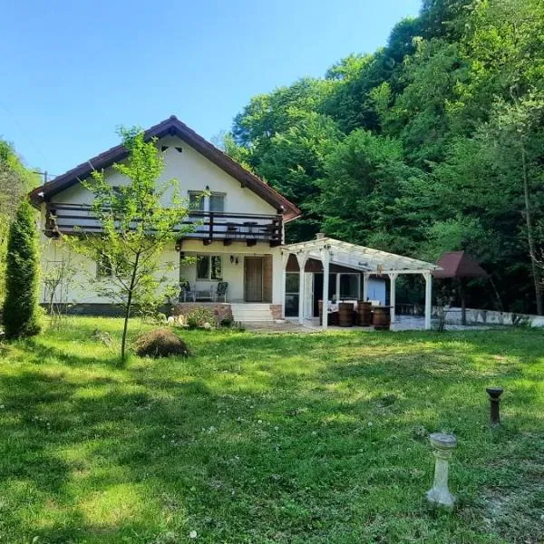 Casa Licurici, hotel in Govăşdia