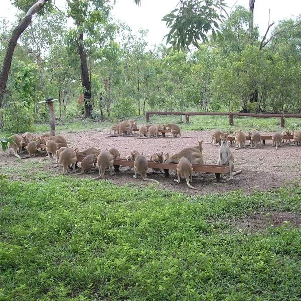 Nina's Ark Wildlife Sanctuary Package, hotel em Batchelor