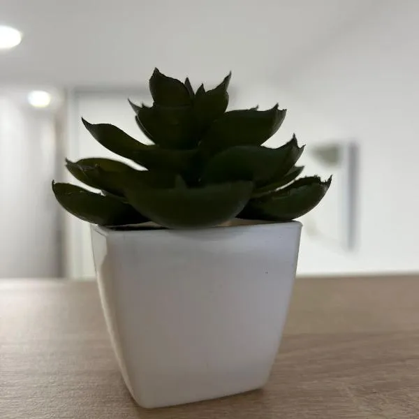 White House – hotel w mieście Castellón de la Plana