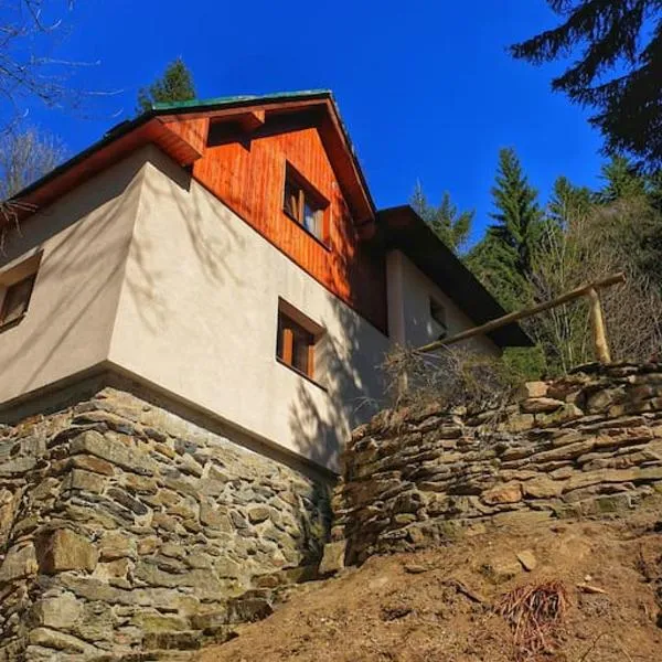 Penzion Pichberg Horská chata، فندق في روكيتنسي ناد جيزيرو