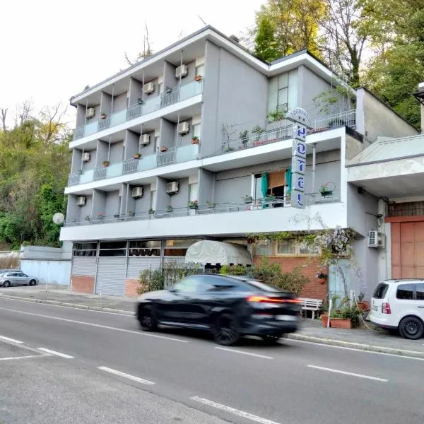 Hotel Lombardia, hotel in Seveso