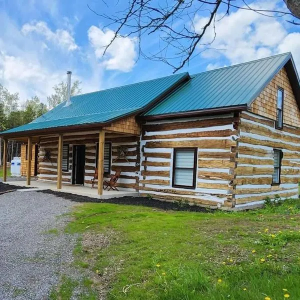 Cottontail Cabin with Hot Tub and wood fired Sauna, hotel in Merrickville