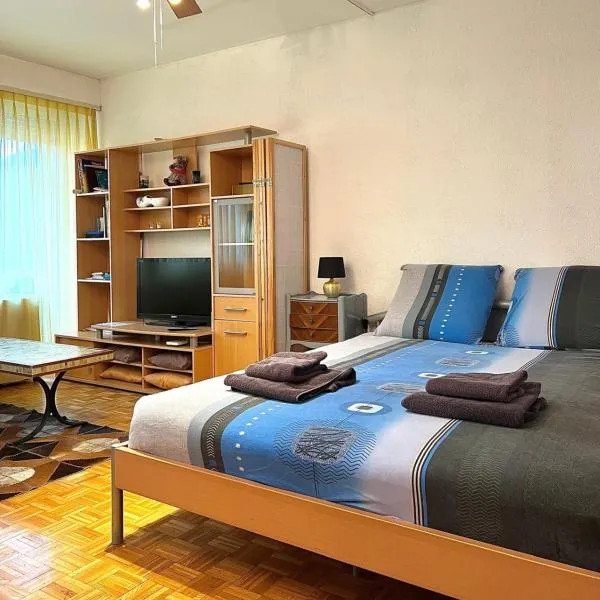 Studio Anémones, meublé, équipé, Monthey, hotel v destinaci Monthey