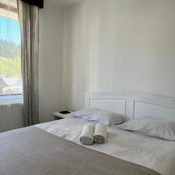 Kiadó apartman, hotel v destinaci Borsec