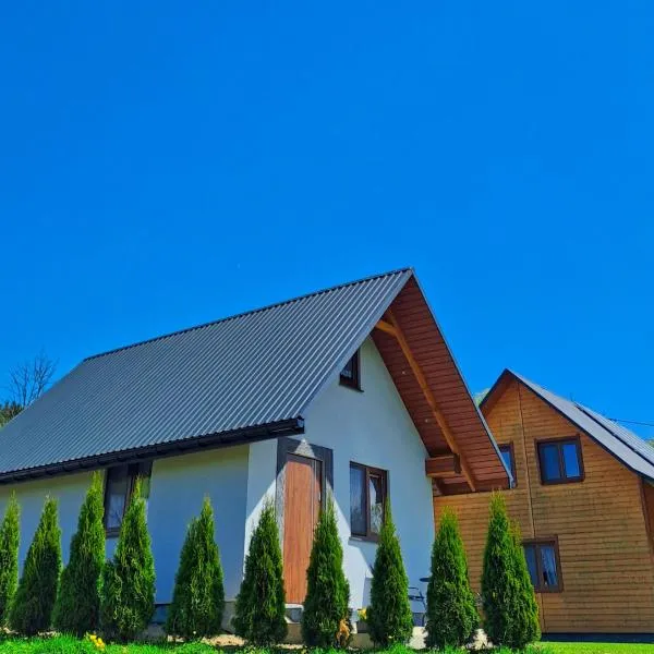 Ostoja Bieszczady Domek Całoroczny, hotel in Lutowiska