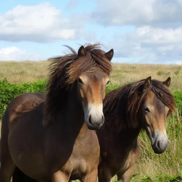 Exmoor BnB in Withypool on Two Moors Way, hotel v destinaci Withypool