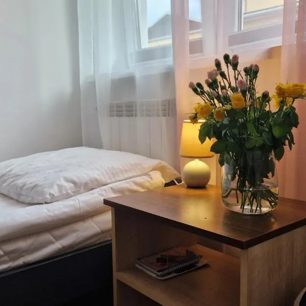 Apartament w centrum Piwnicznej, hotel in Piwniczna Zdrój