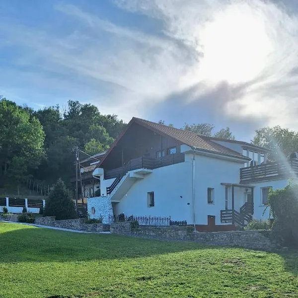 Holling apartman, hotel v destinaci Fertőboz