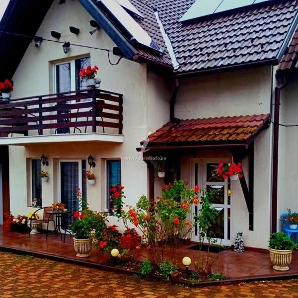 Edelweiss Ilinca, hotel v destinaci Zărneşti