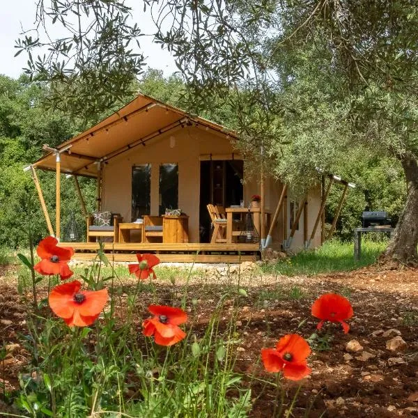 Domus Olea Glamping, hotelli Ceglie Messapicassa
