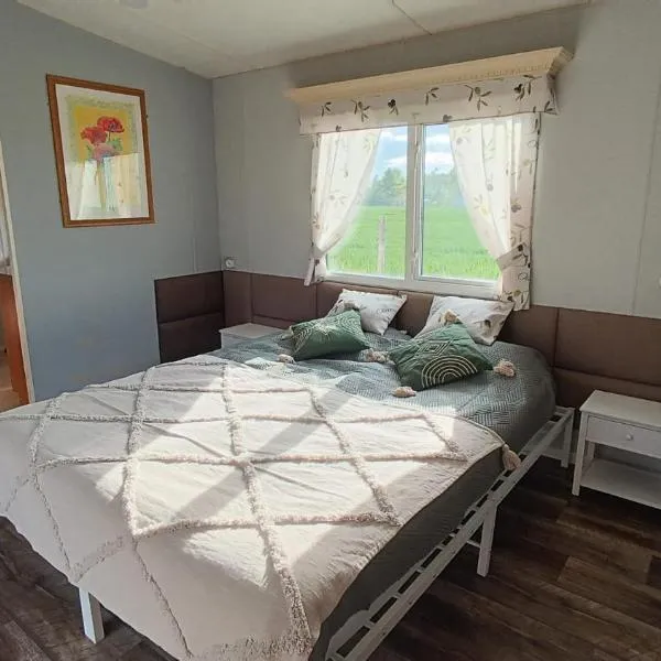 Ranczo Tomaszówka Domek w Polu, hotel v destinaci Czewujewo