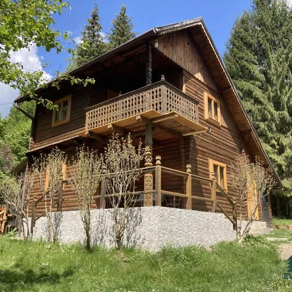 Evergreen Balvanyos, hotel v destinaci Bálványos