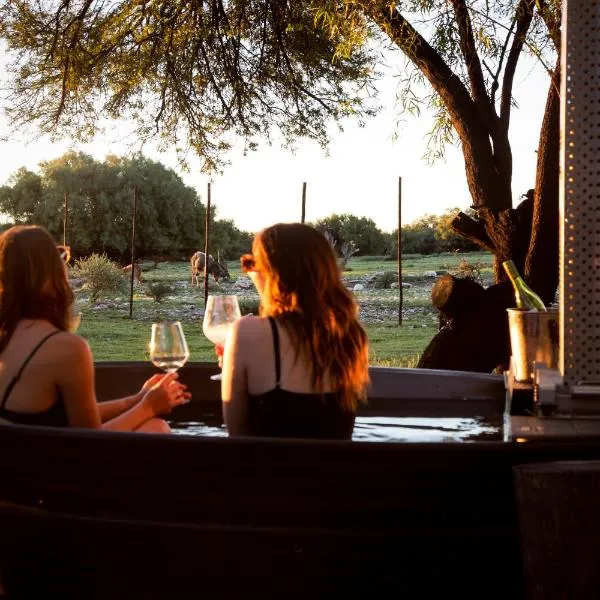 Grootvallei Guest Farm - Main lodge, hotel in Boshof
