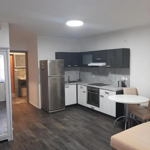 Apartman u lesa, hotel Horšovském Týně