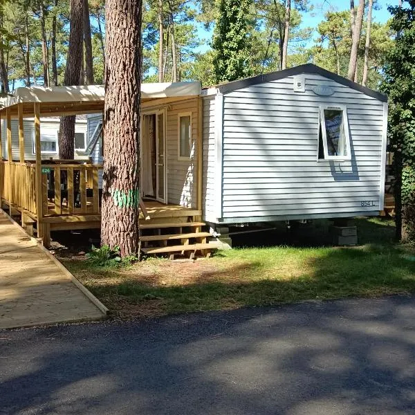 Mobil'home PMR sous les pins !, hotel v destinácii Seignosse