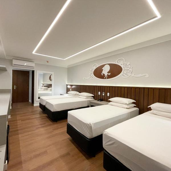 Fazzenda Park Resort - Foto 2