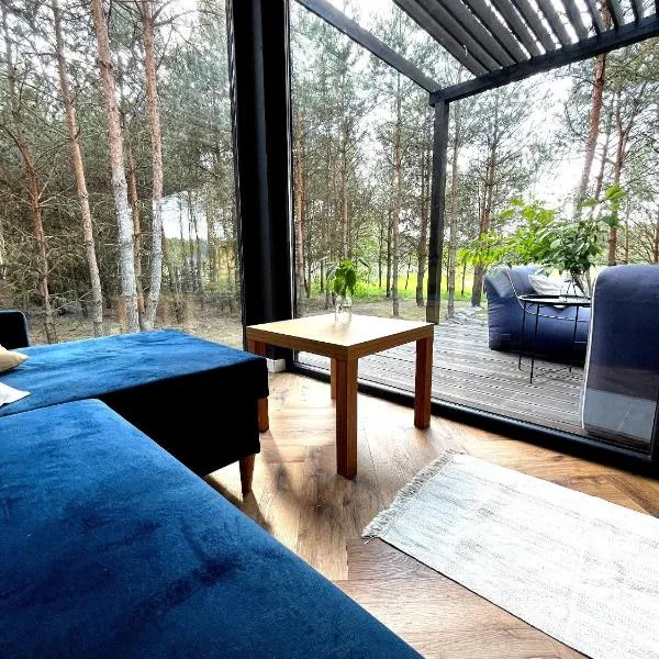 Przeszklony Tiny House w Lesie, hotel in Tomczyn