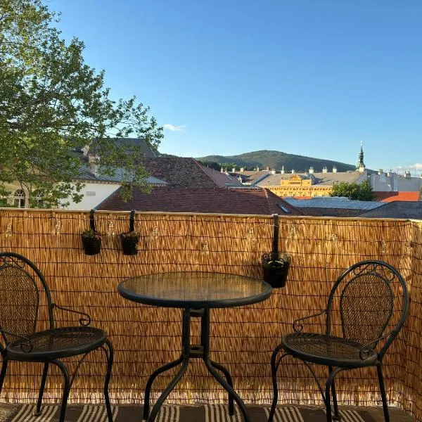 Zum Breyer BNB City Apartment, hotel v destinaci Baden