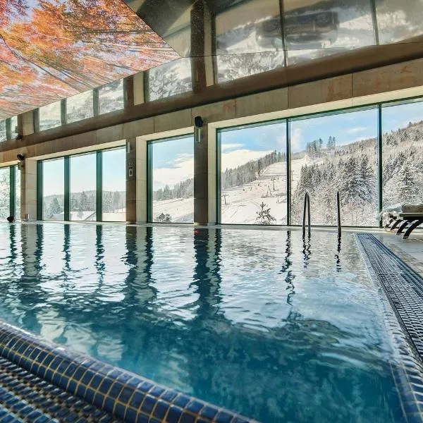 Hotel Pegaz, hotel en Krynica-Zdrój