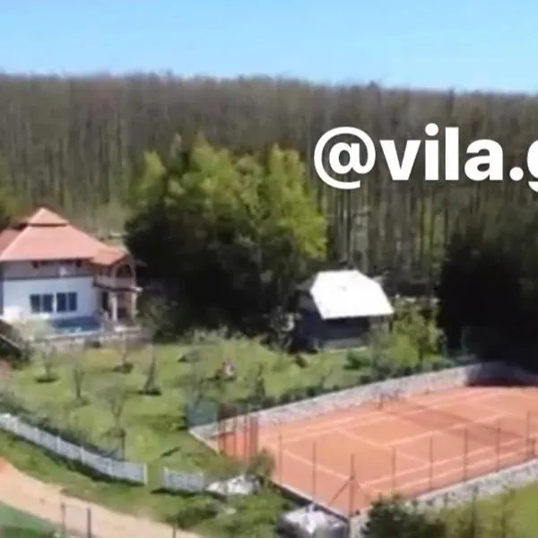 Vila GUŠT, hotel v destinaci Zlatibor