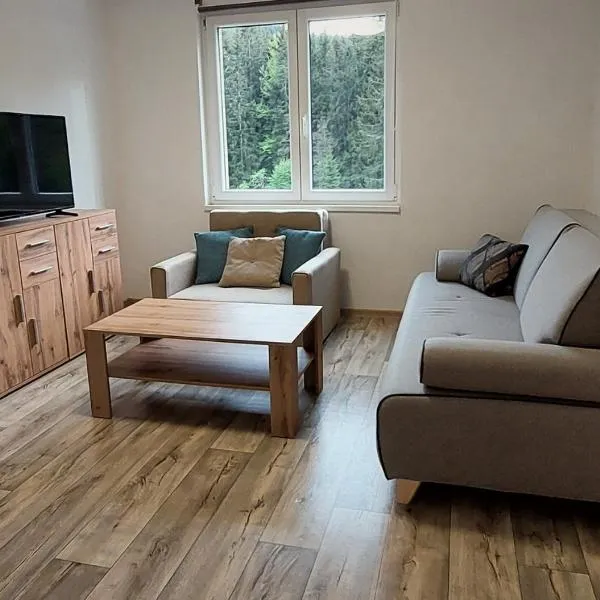 Apartmánek Jizerské hory, hotel v Josefově Dole