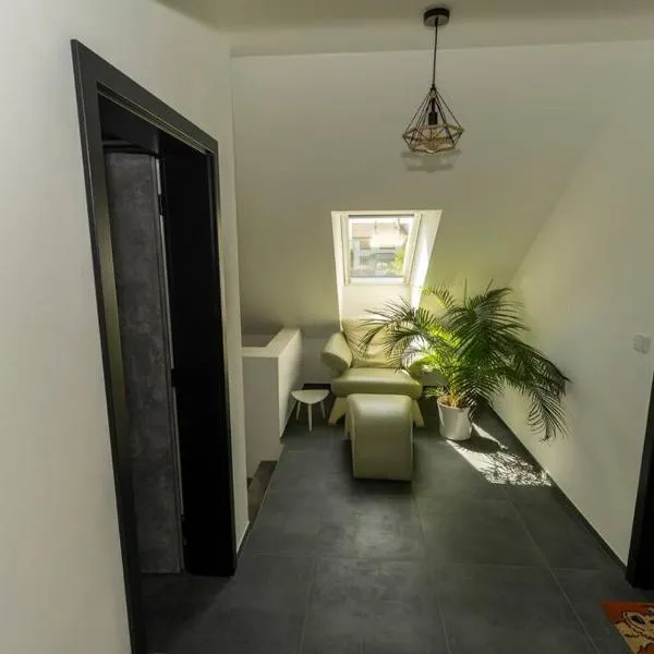 Stylish new "PLAYGROUND" flat with Bondage Cross & Private fitness in new family house, hotel v destinaci Hradec Králové