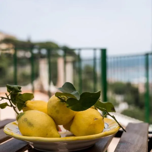 Terrazza Mediterranea, hotel v destinaci Vietri