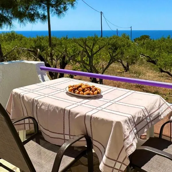 Studios Crete, hotel v destinaci Ferma